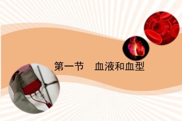 血型教你如何苗条过春节
