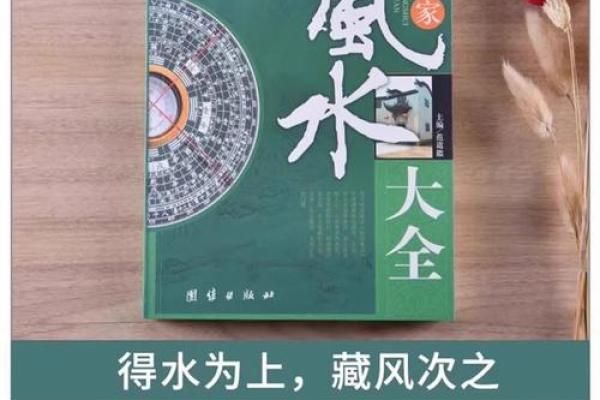 中国风水学.pdf