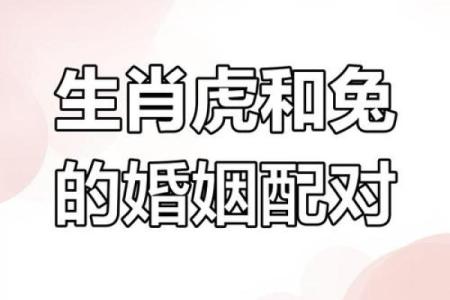 1999年属什么生肖配对