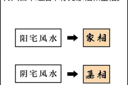 铁板神数太乙神数紫薇斗数