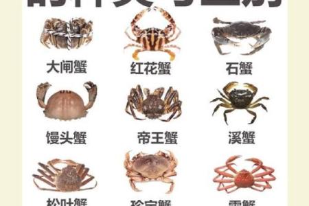 十二星座最适合哪种螃蟹