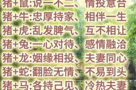最佳的十二生肖婚姻配对大全