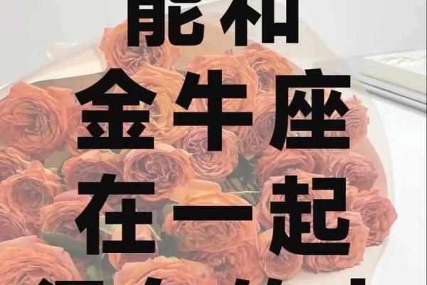 金牛座最适合什么星座的情侣关系