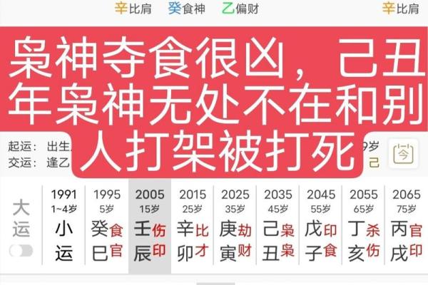 八字命理：你缺的不是基础，而是一篇文章