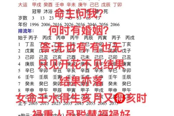 亥时的八字