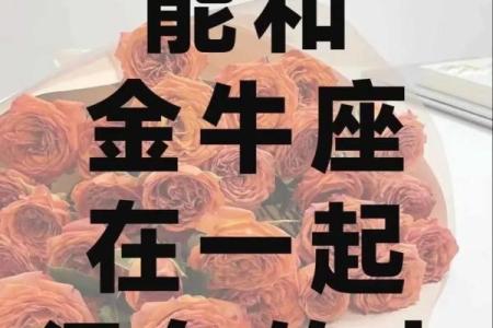 金牛座最适合什么星座的情侣关系