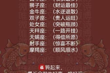 12星座第二周运势最新