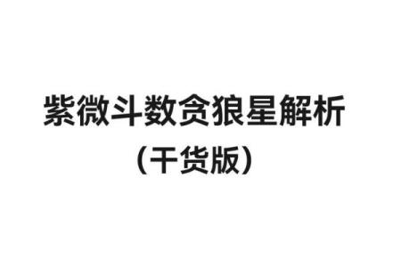 紫薇斗数贪狼化权