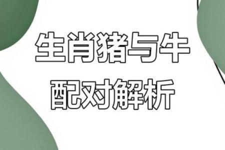 85年属什么的生肖 85年属什么的生肖配对