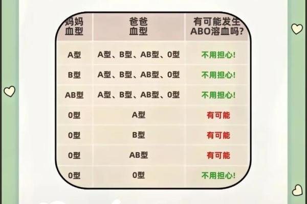 血型b+和b-是什么意思