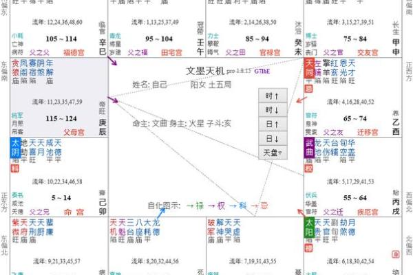紫薇斗数化忌是怎么来的