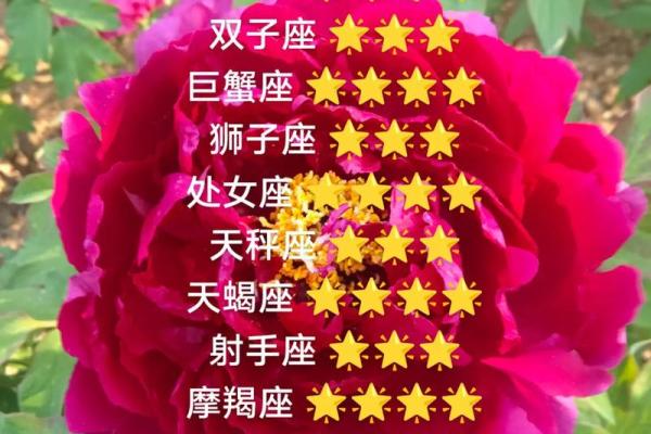 紫薇星座白羊今日运势