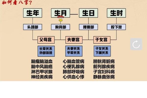 该怎样学批八字（一）八字是什么？