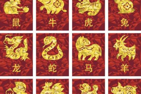 女人最佳风水属相