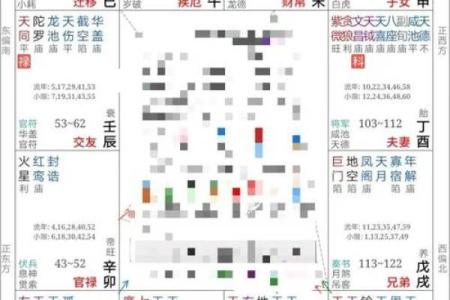 紫薇斗数化忌是怎么来的