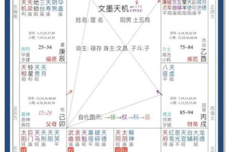 紫薇星斗数排盘元亨