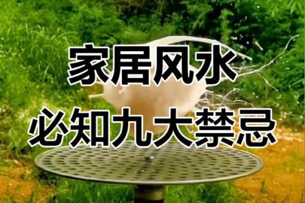 生活上，有哪些风水禁忌需要注意？