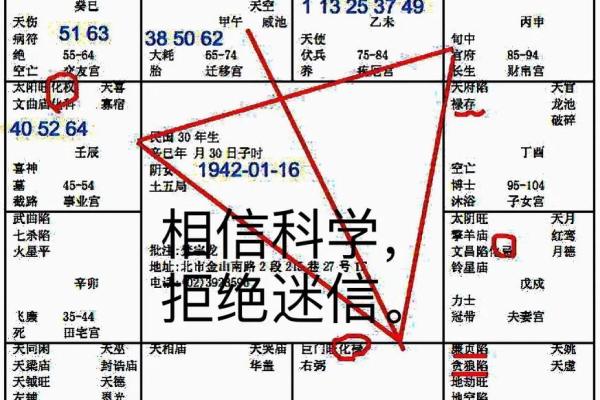 紫薇斗数导语