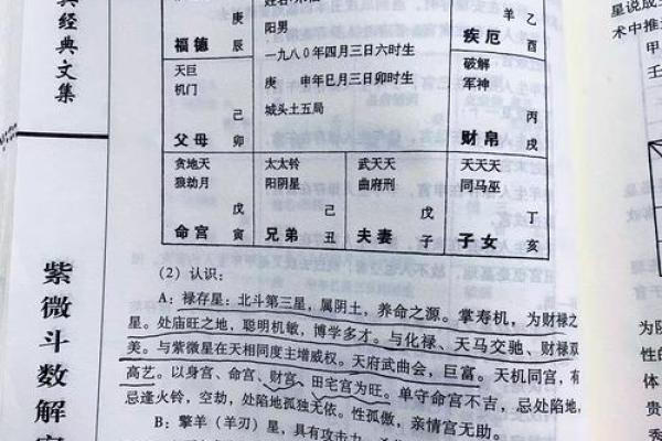 紫薇斗数导语