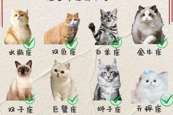 十二星座最喜欢的动物