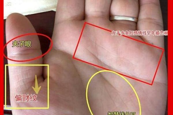如何看掌纹线算命女性 智慧线长度适中进取心强