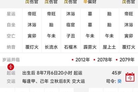 南方八字算命软件