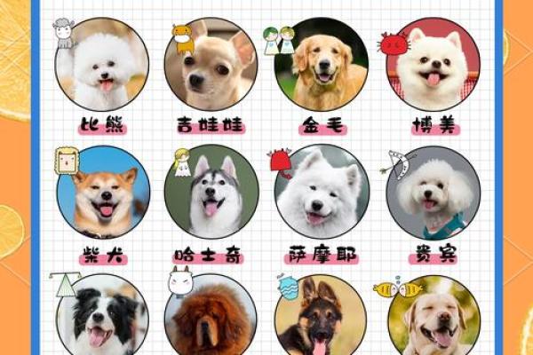 哪个星座最喜欢养动物的