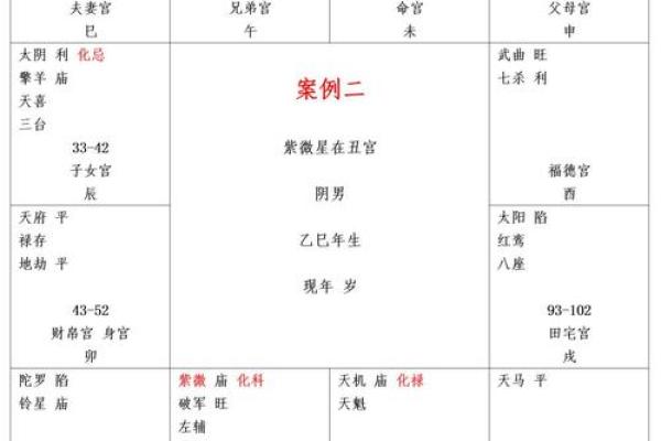 男生紫微斗数看那些 紫微斗数男命？