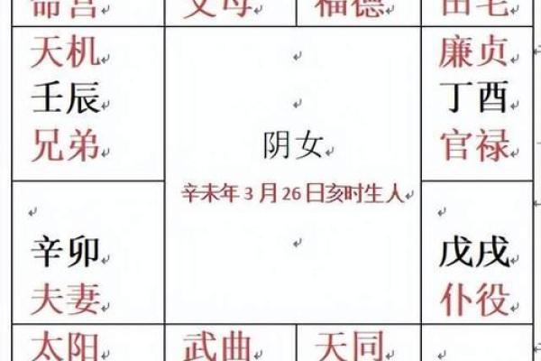 紫薇斗数基本