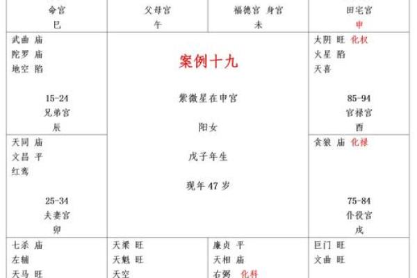 新白娘子紫薇斗数