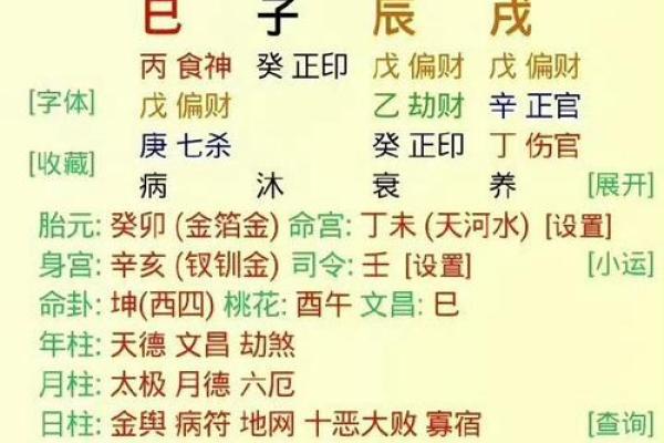 己亥生辰八字详解大全女命