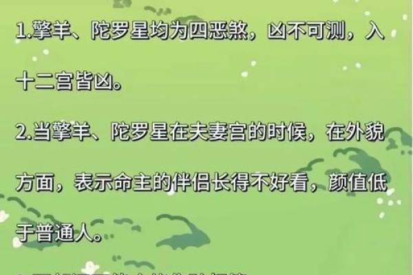 紫微斗数之：流星的看法