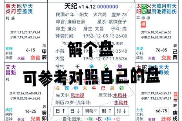 紫薇斗数流年命盘