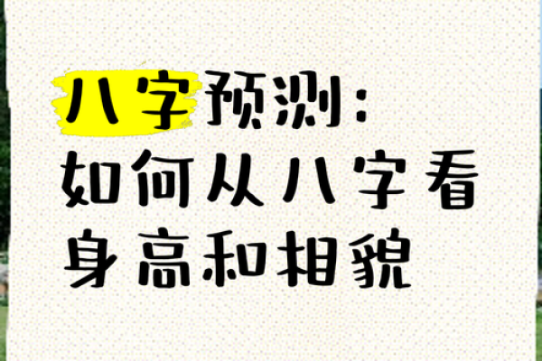 八字看主人长相