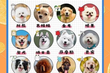 哪个星座最喜欢养动物的