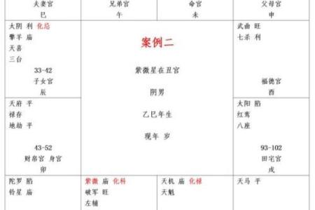 男生紫微斗数看那些 紫微斗数男命？