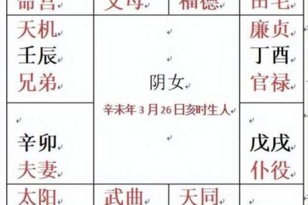 紫薇斗数基本