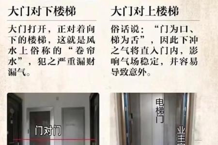 风水人居