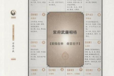 紫薇斗数太阴禄存