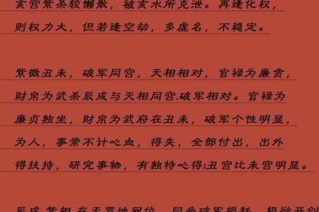 紫微斗数术语解释之：对星
