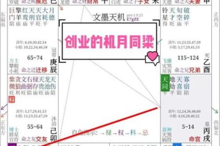 紫薇斗数看妻子经商