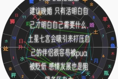 星盘第七宫看未来老公的职业