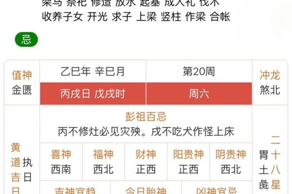 黄历2024年黄道吉日查询结婚属相猪  黄历查询2024黄道吉日