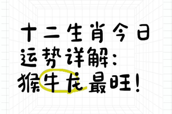 生肖猴今日运势十二星座网