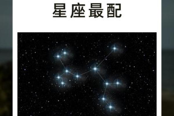 摩羯男偏爱哪类星座女生多