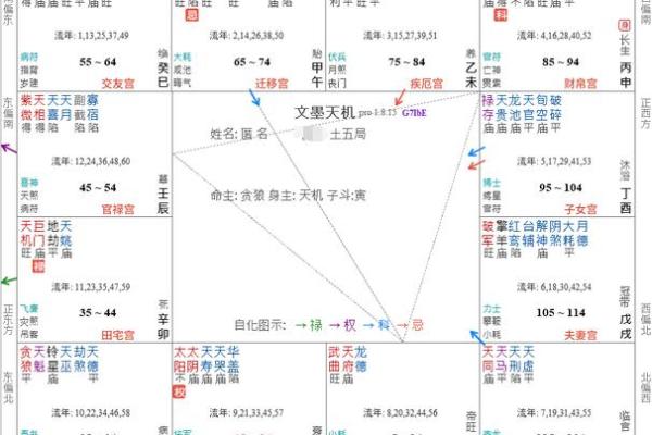 紫薇斗数命宫吉