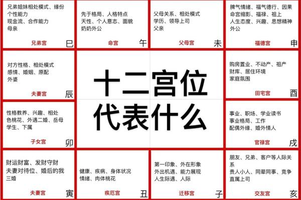 长寿的紫薇斗数