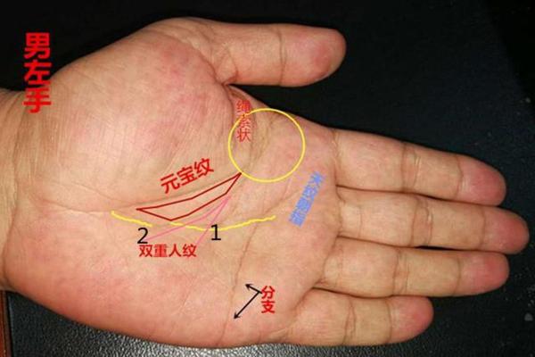 图解:手相中的智慧线算命 图解:手相中的智慧线算命