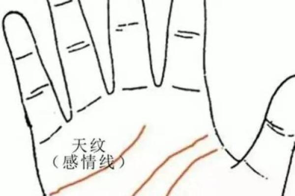 算命是用左手还是右手好