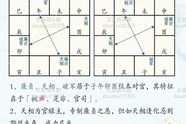 紫薇斗数看男性二婚